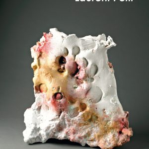 Catalogue de l'exposition Laurent Petit en 2015