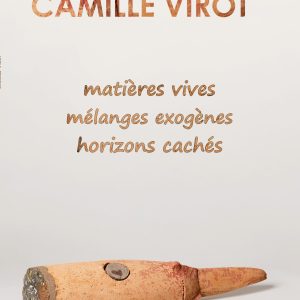 Catalogue de l'exposition Camille Virot en 2024