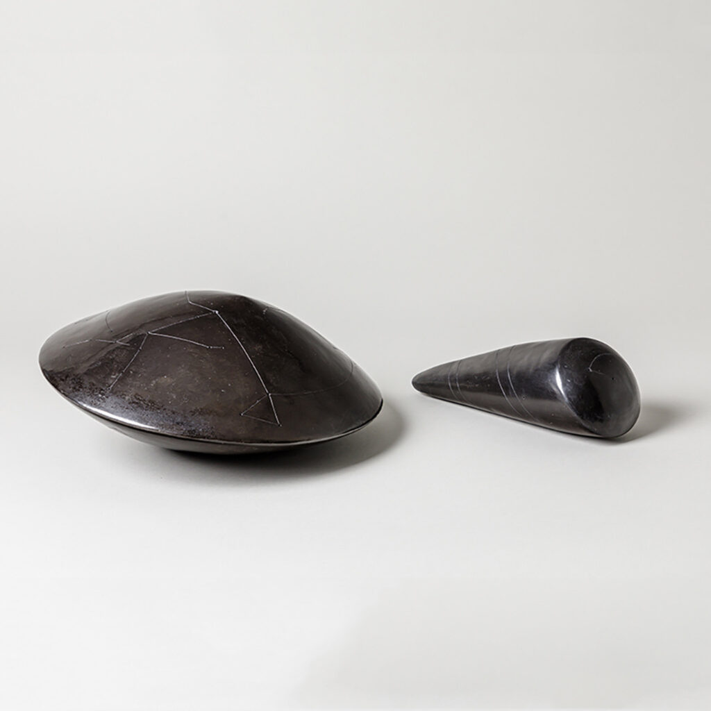 Terre enfumée Nadia Pasquer