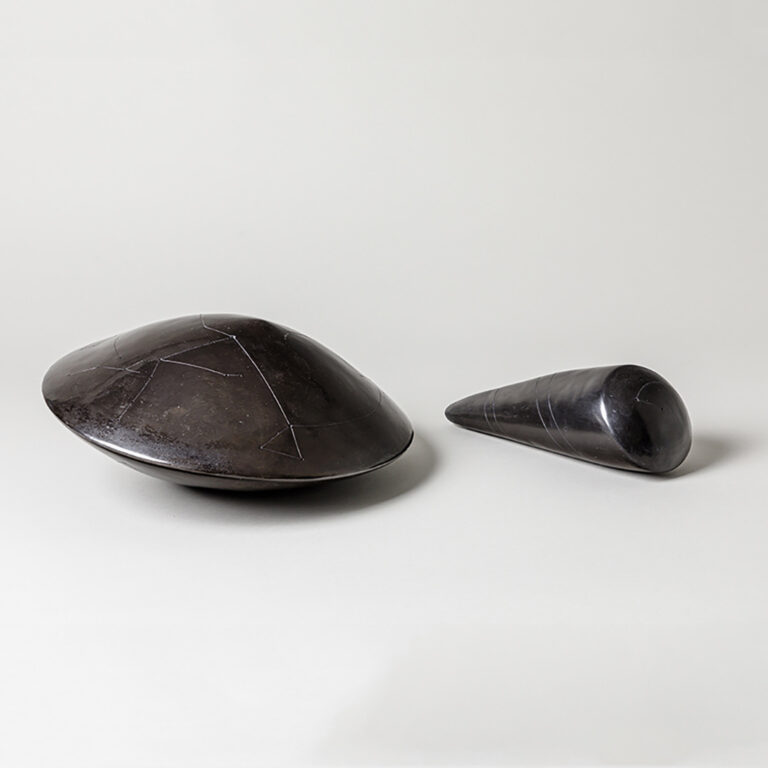 Terre enfumée Nadia Pasquer