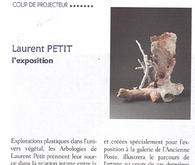 petit laruent miroir de l art