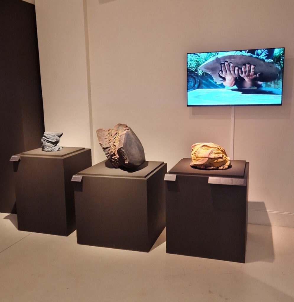 Icaro Maiterena - Mnad Limoges - musée national Adrien Dubouché Limoges