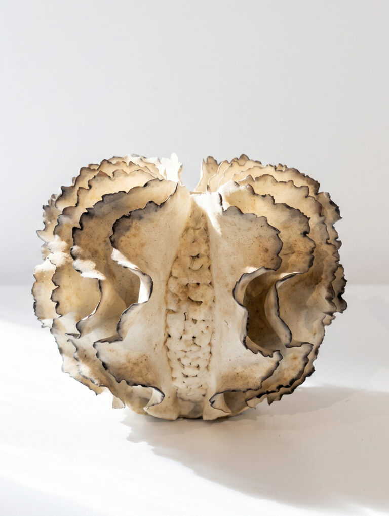 ursula morley price céramique contemporaine ceramics art comtemporain