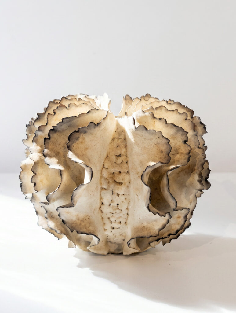ursula morley price céramique contemporaine ceramics art comtemporain