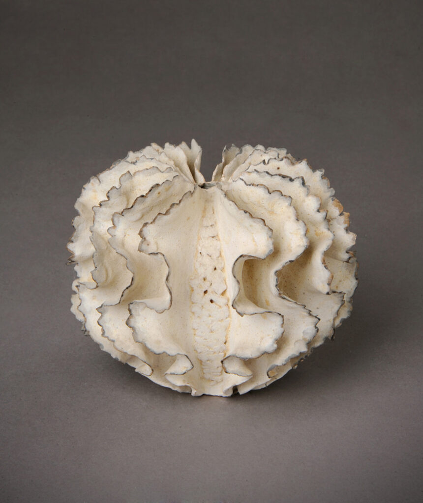 Ursula Morley-Price - collection céramique contemporaine - céramique collection - vente de céramique