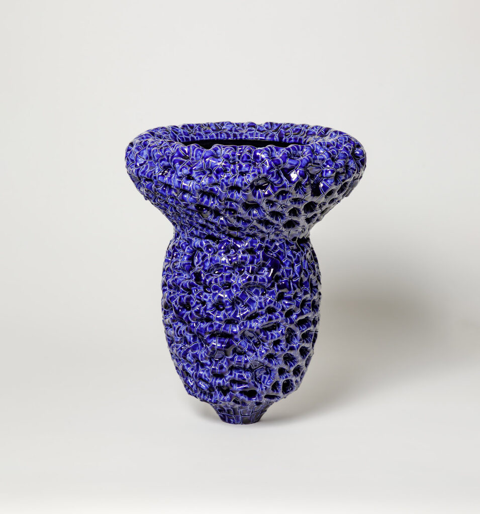 Michael Rice - galerie de l'Ancienne Poste 2026